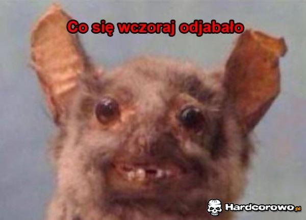 Tak wyglądam - 1