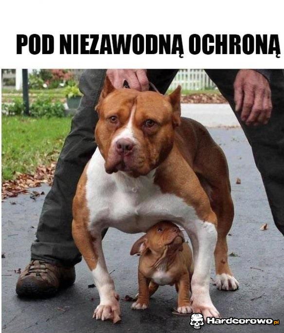 Pod ochroną - 1