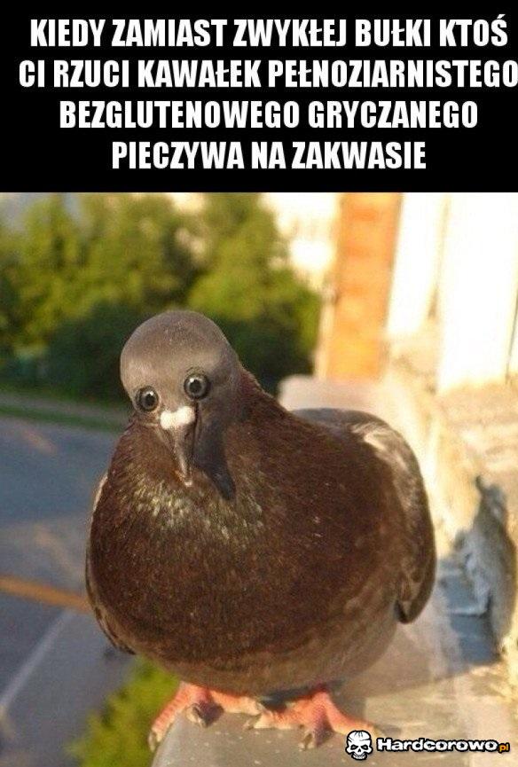 Co ja widzę - 1