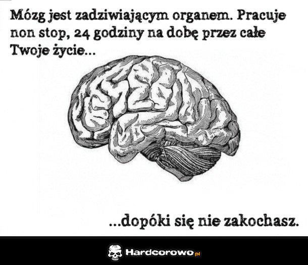 Mózg jest niesamowity - 1