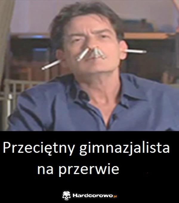 Przeciętny gimnazjalista - 1