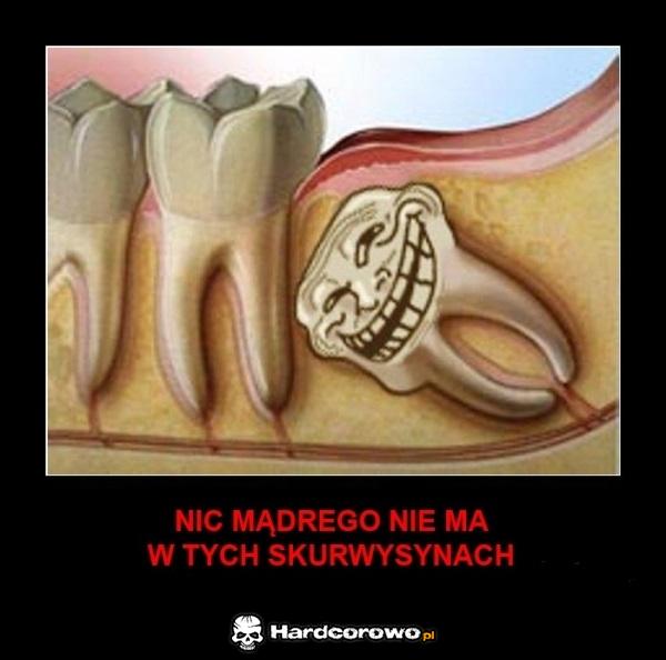 Zęby mądrości  - 1