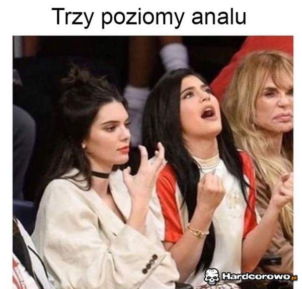 Trzy poziomy analu - 1