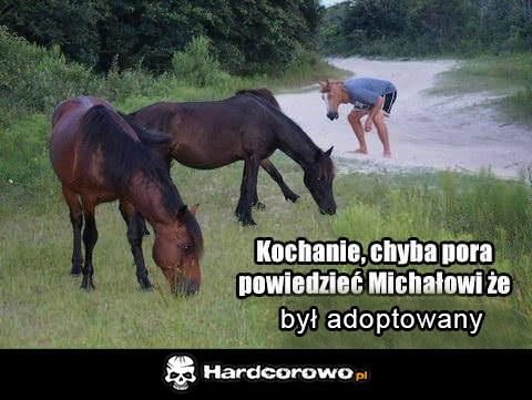 Adoptowany Michał - 1