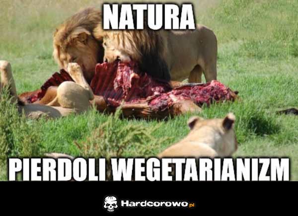 Cała prawda o wegetarianizmie - 1