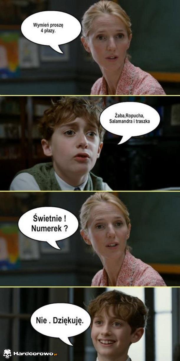 Numerek? - 1