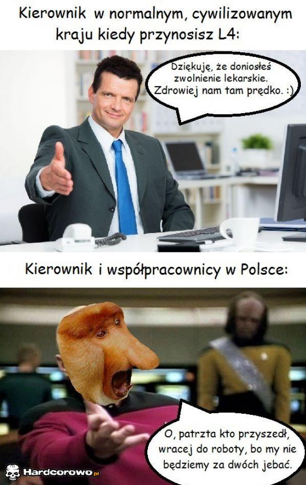 Kierownicy - 1