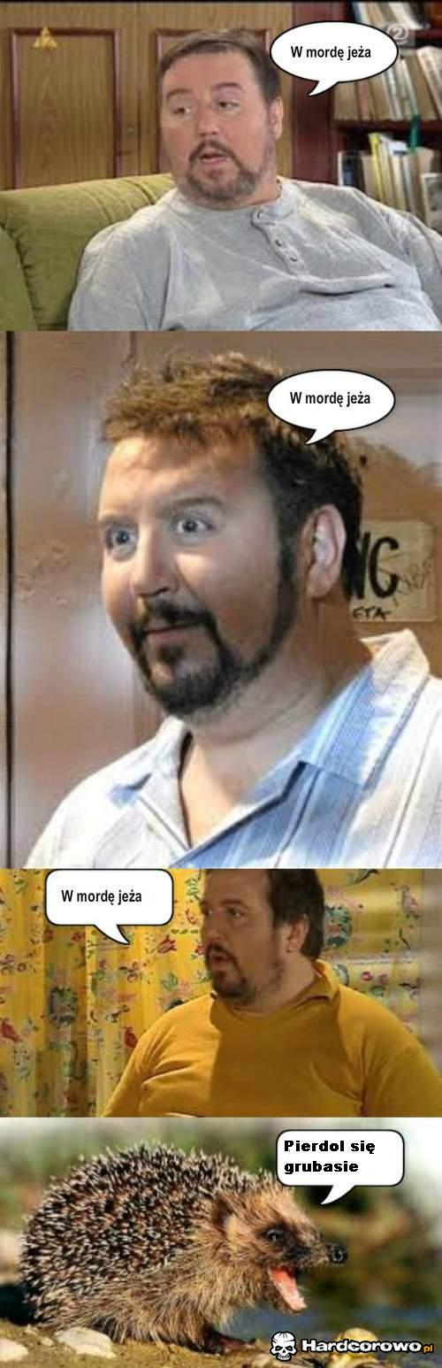W mordę jeża - 1