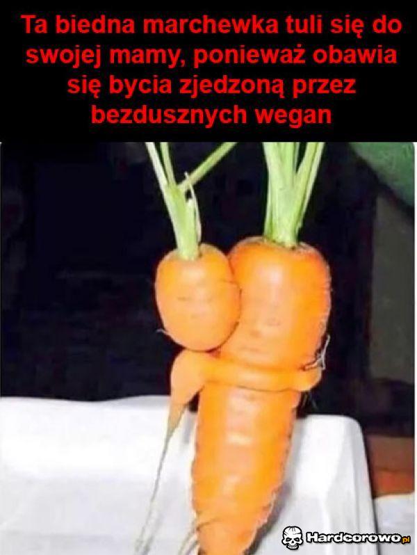 Coś dla wegan - 1