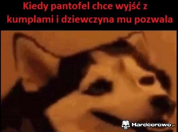 Pantofle takie są - 1