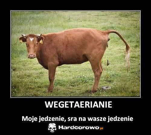 Wegetarianie - 1