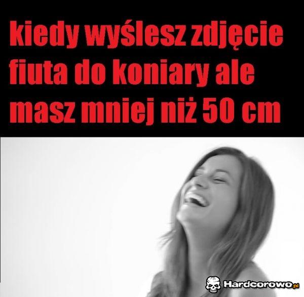 Koniary - 1