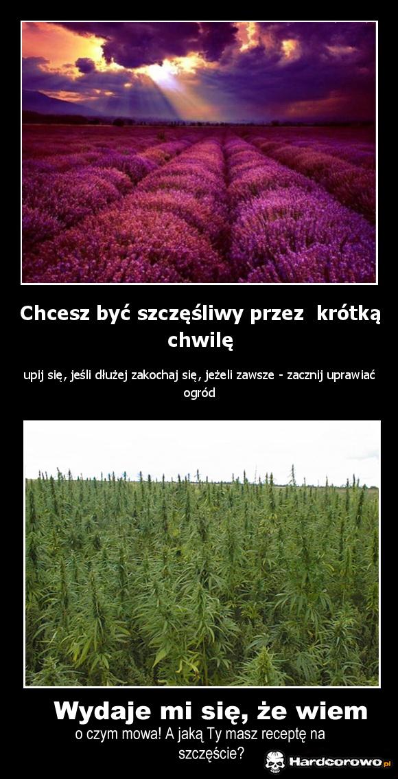 Chcesz być szczęśliwy przez krótką chwilę? - 1