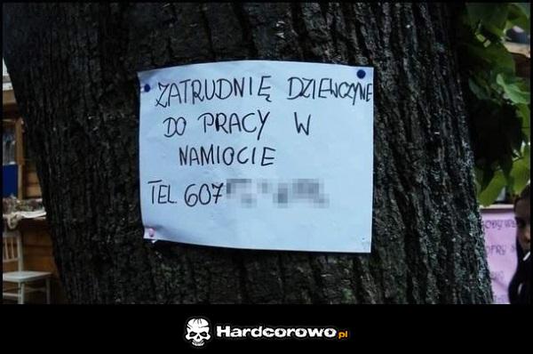 Praca dla dziewczyny - 1