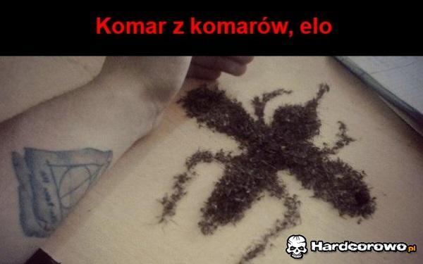 Komary - 1