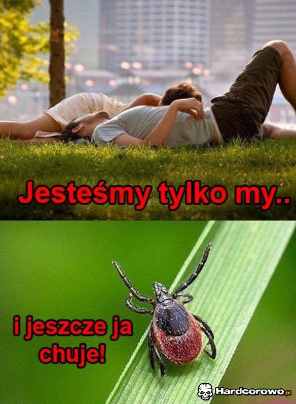 Jeszcze on! - 1