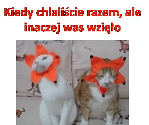 Chlanie razem - 1
