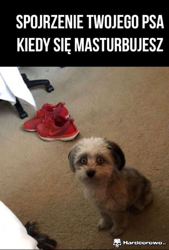 Człowiek zostaw tą parówkę - 1
