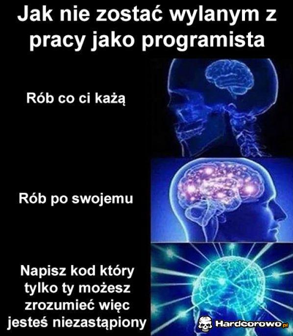 Programista - 1