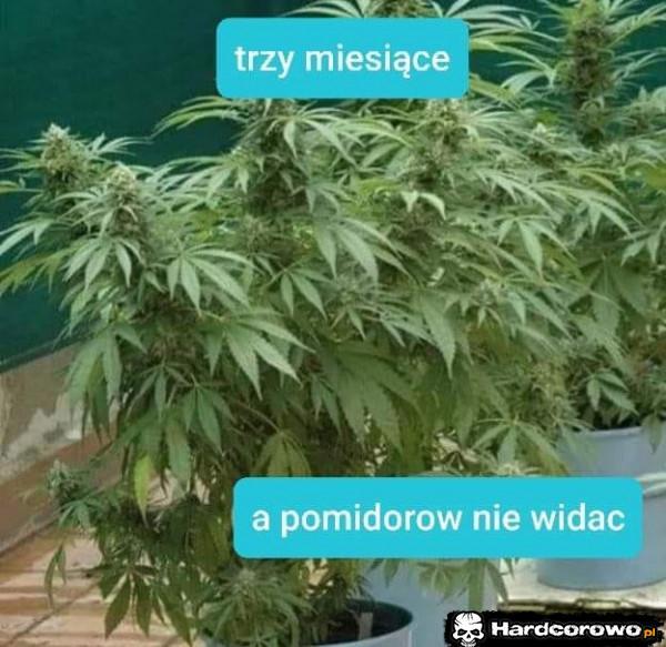  - 1