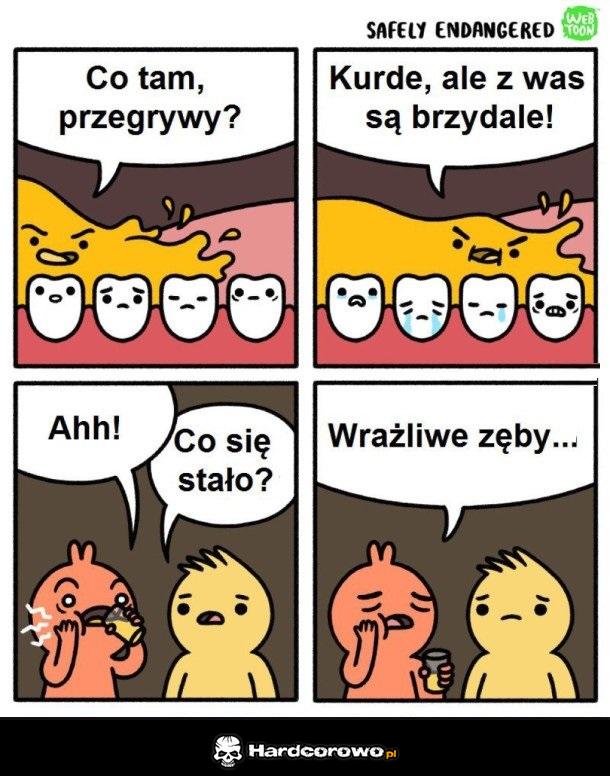 Co tam przegrywy? - 1
