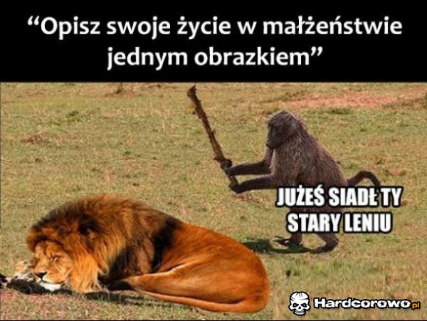 Życie małżeńskie w jednym obrazku - 1