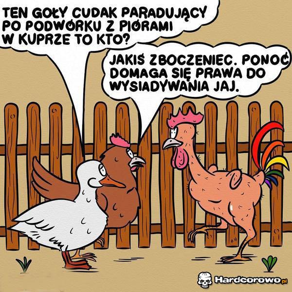 Nowe prawo o związkach homosexualnych - 1