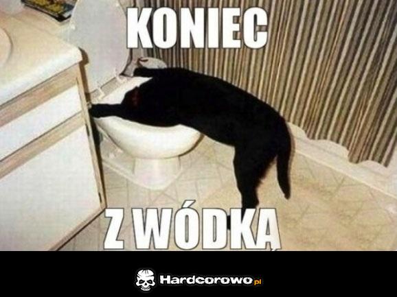 Koniec z wódką - 1