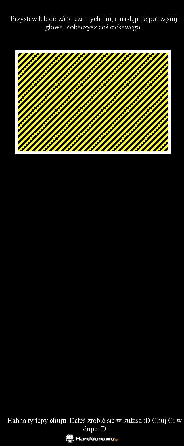 Zobaczysz coś ciekawego - 1