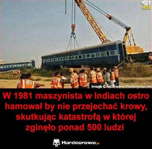 W 1981 - 1