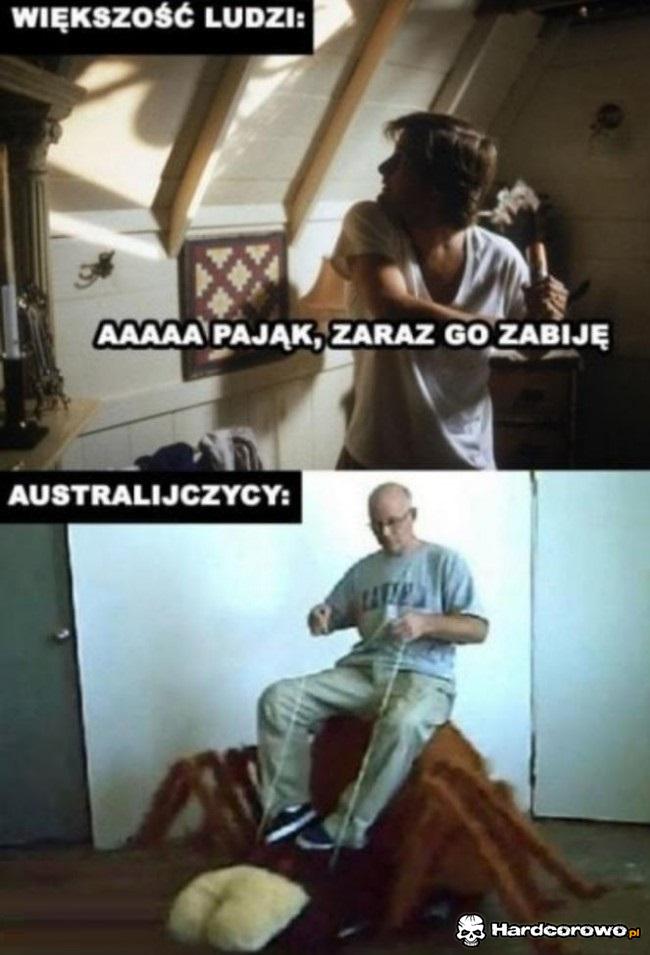 Większość ludzi vs Australijczycy - 1