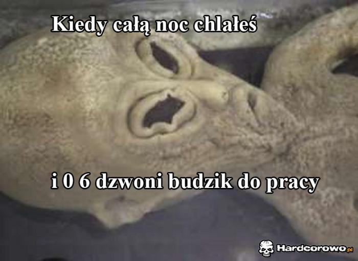 Pobudka - 1