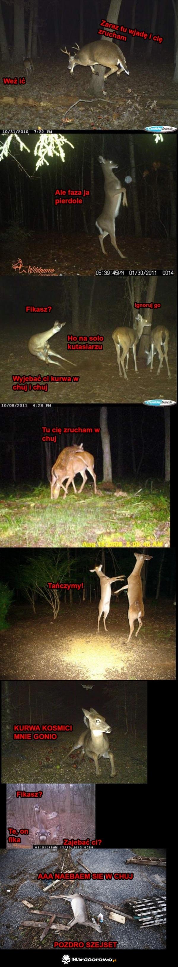Nie zostawiaj alkoholów w lesie - 1