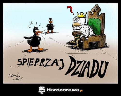 Kaczki i orzeł - 1