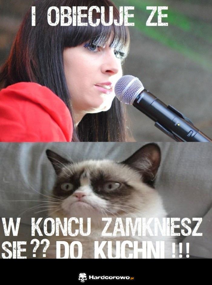 Wkurzony kot - 1