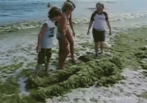 Co tu się odwala? - 1