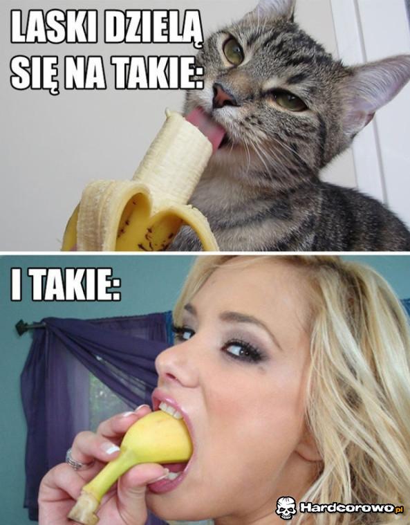 Laski - 1