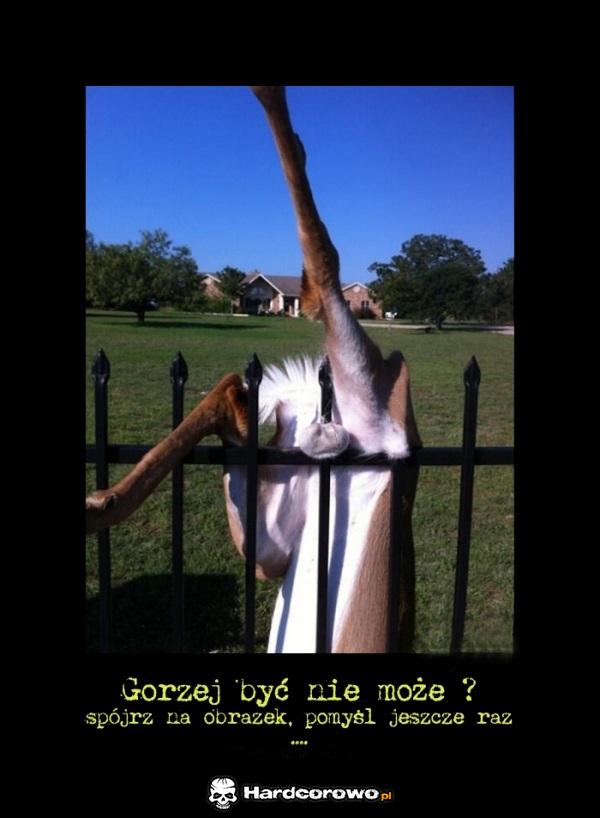 Gorzej być nie może? - 1
