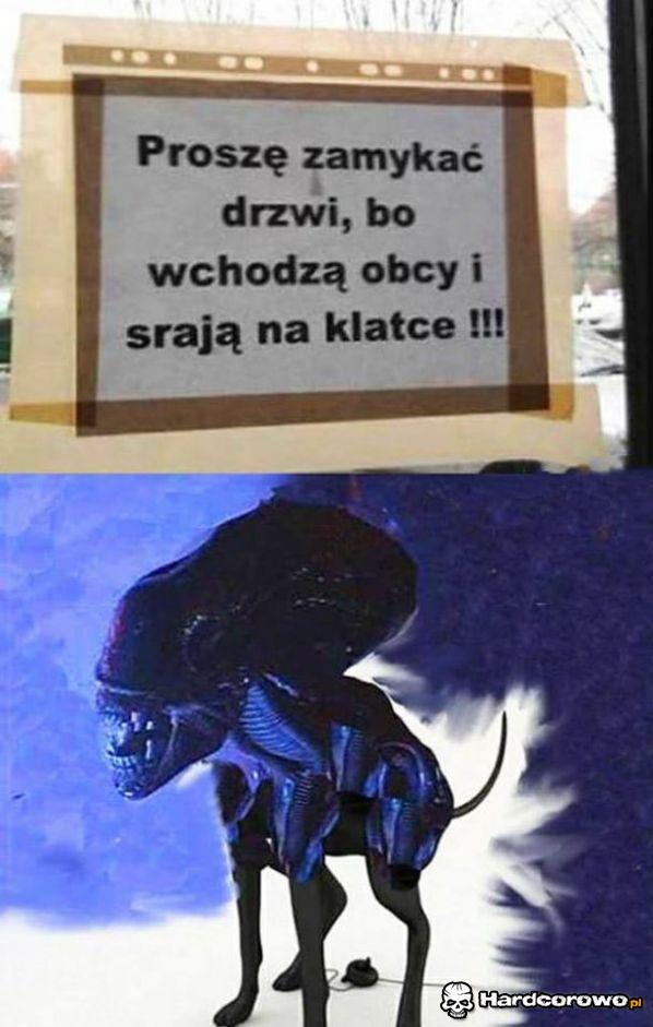 Obcy  - 1