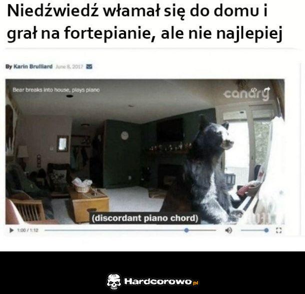 Włamywacz - 1