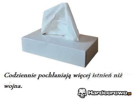 Chusteczki - 1