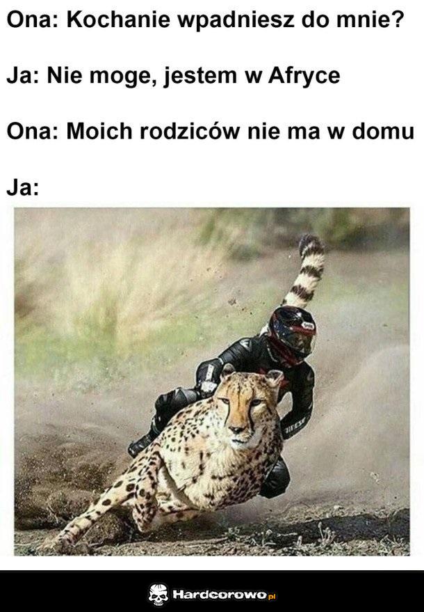 Z Afryki do panienki - 1