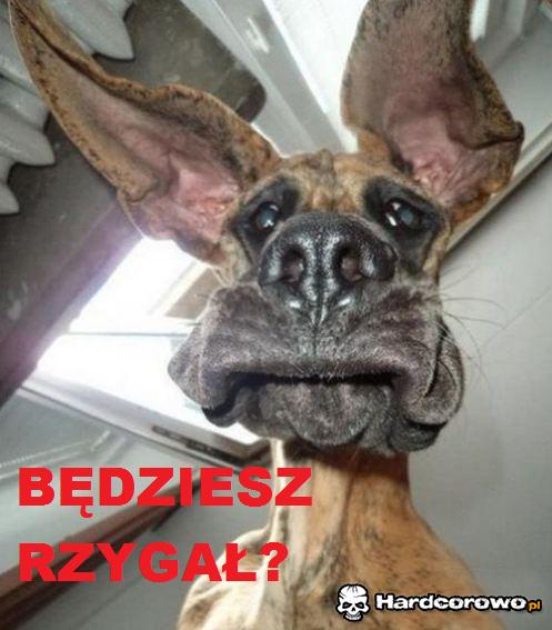 Będziesz rzygał? - 1