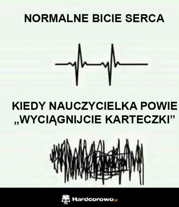 Rytm serca - 1