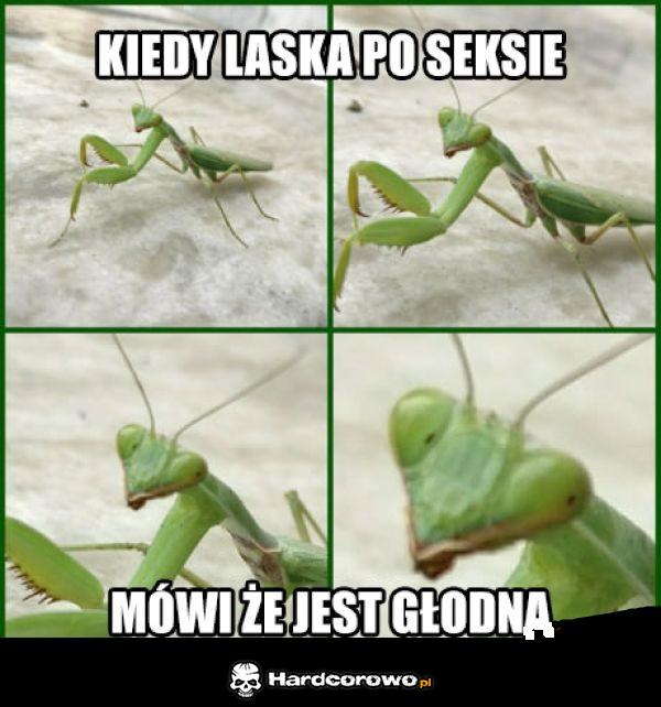 Laska po seksie - 1