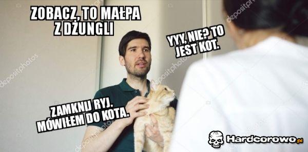 Małpa z dżungli - 1