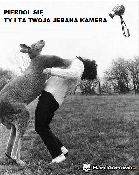 Pierdol się  - 1