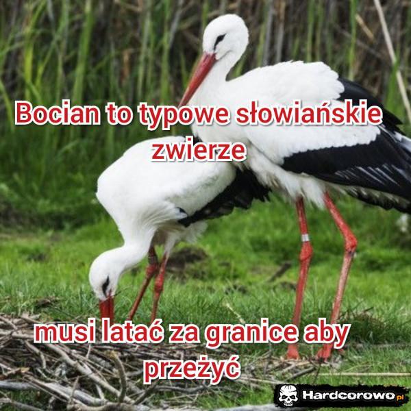  - 1
