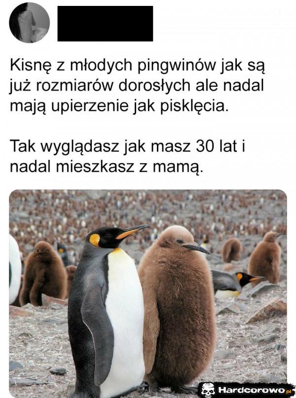 - 1