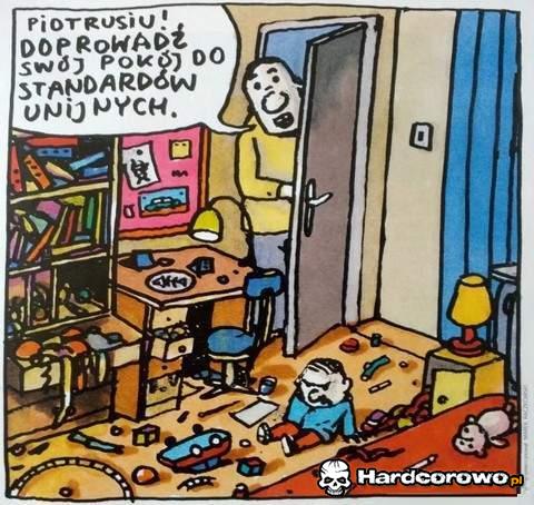 Standardy unijne - 1